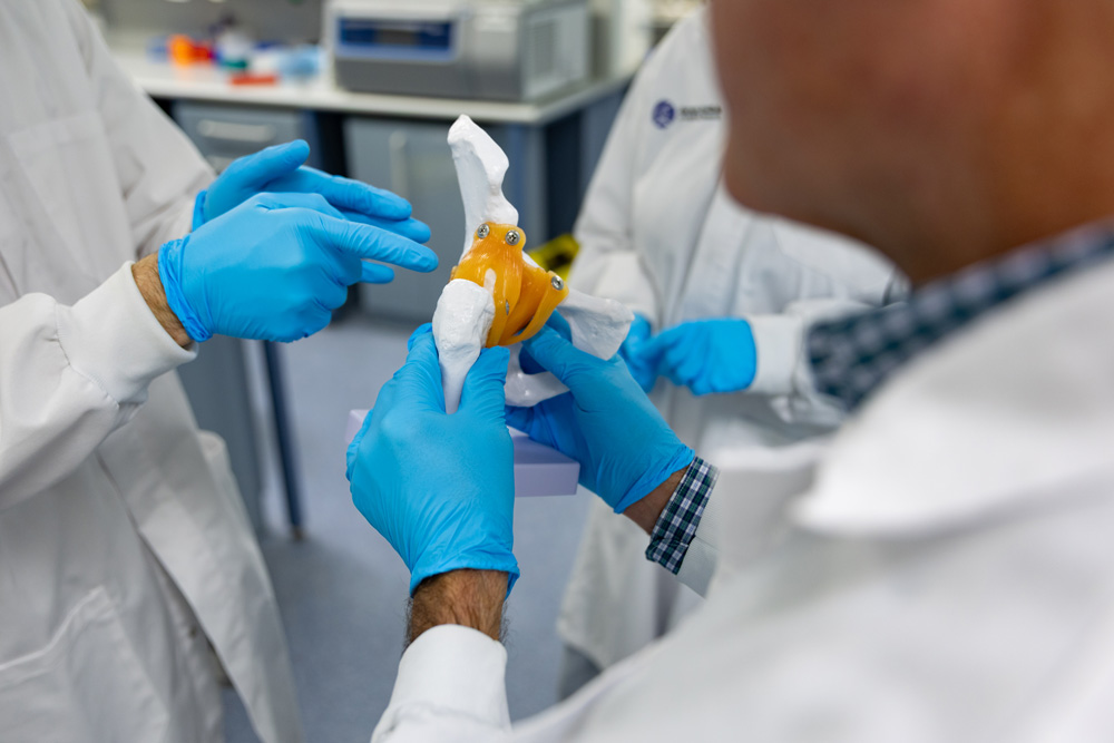 arthritis-australia-joint-model-research-team-lab